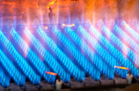 Burntcommon gas fired boilers